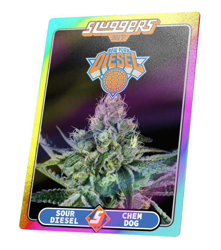 Juiced 5pk NYC Diesel Sativa
