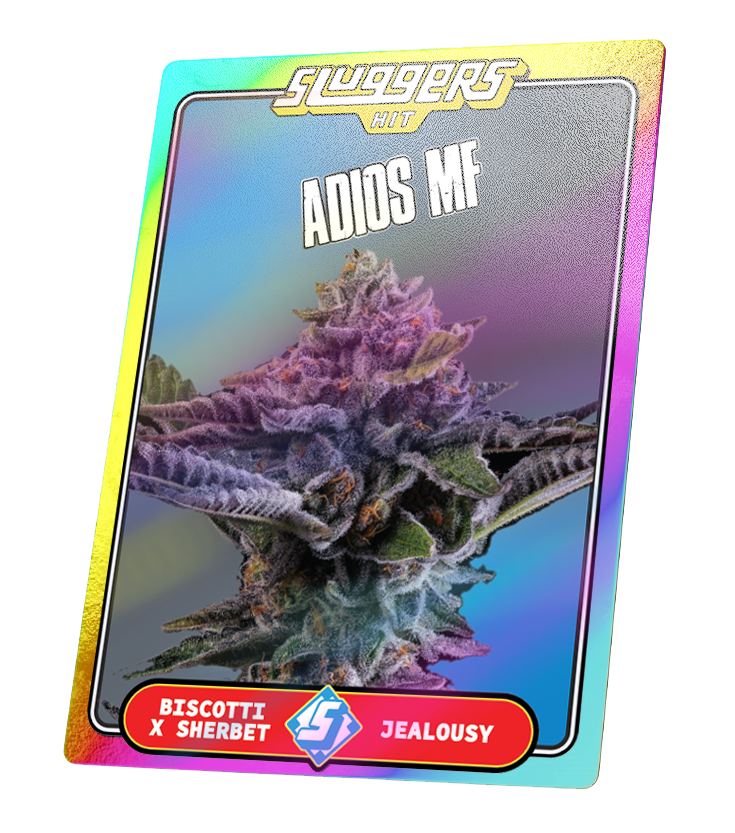 Juiced 5pk Adios MF Indica