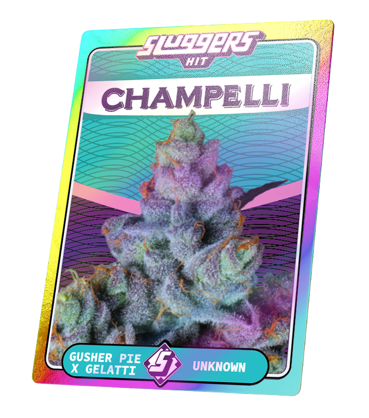 Juiced 5pk Champelli Cassis Indica