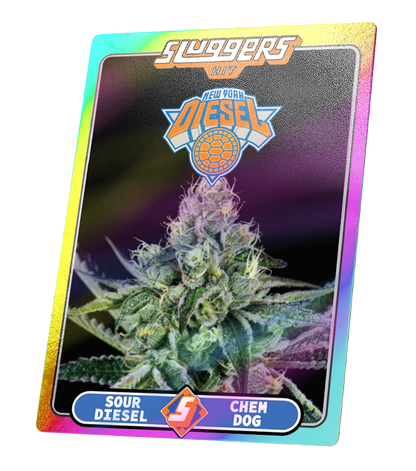 Juiced 5pk NYC Diesel Sativa