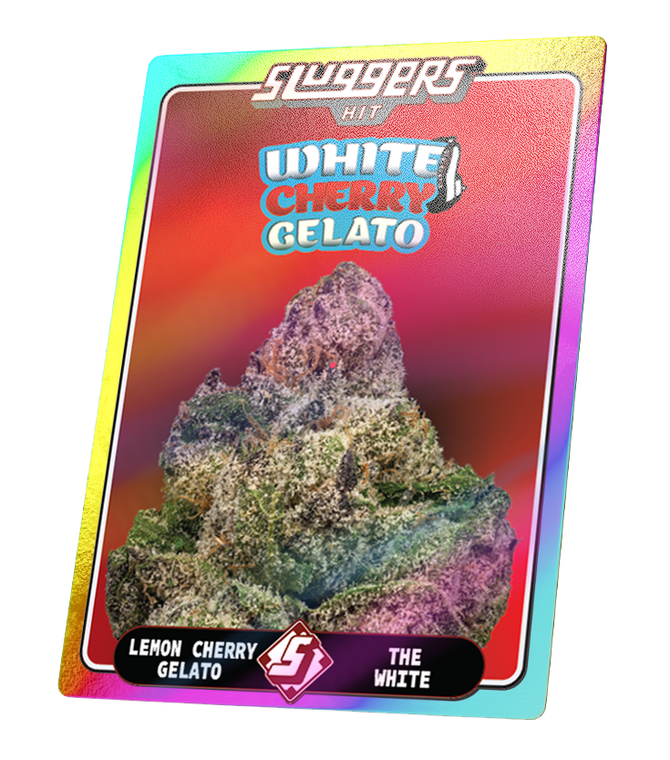 Juiced 5pk White Cherry Gelato Hybrid