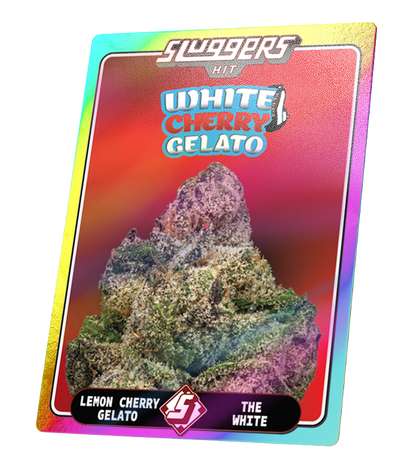 Juiced 5pk White Cherry Gelato Hybrid