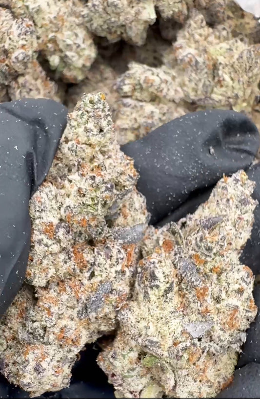 Bulk Flower (LA Runtz)