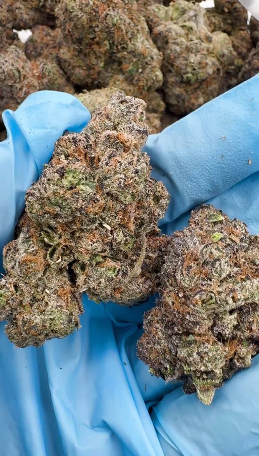 Bulk Flower (Lemon Cherry Gelato)