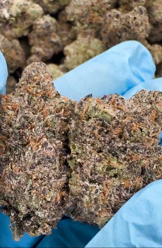 Bulk Flower (Rainbow Runtz)